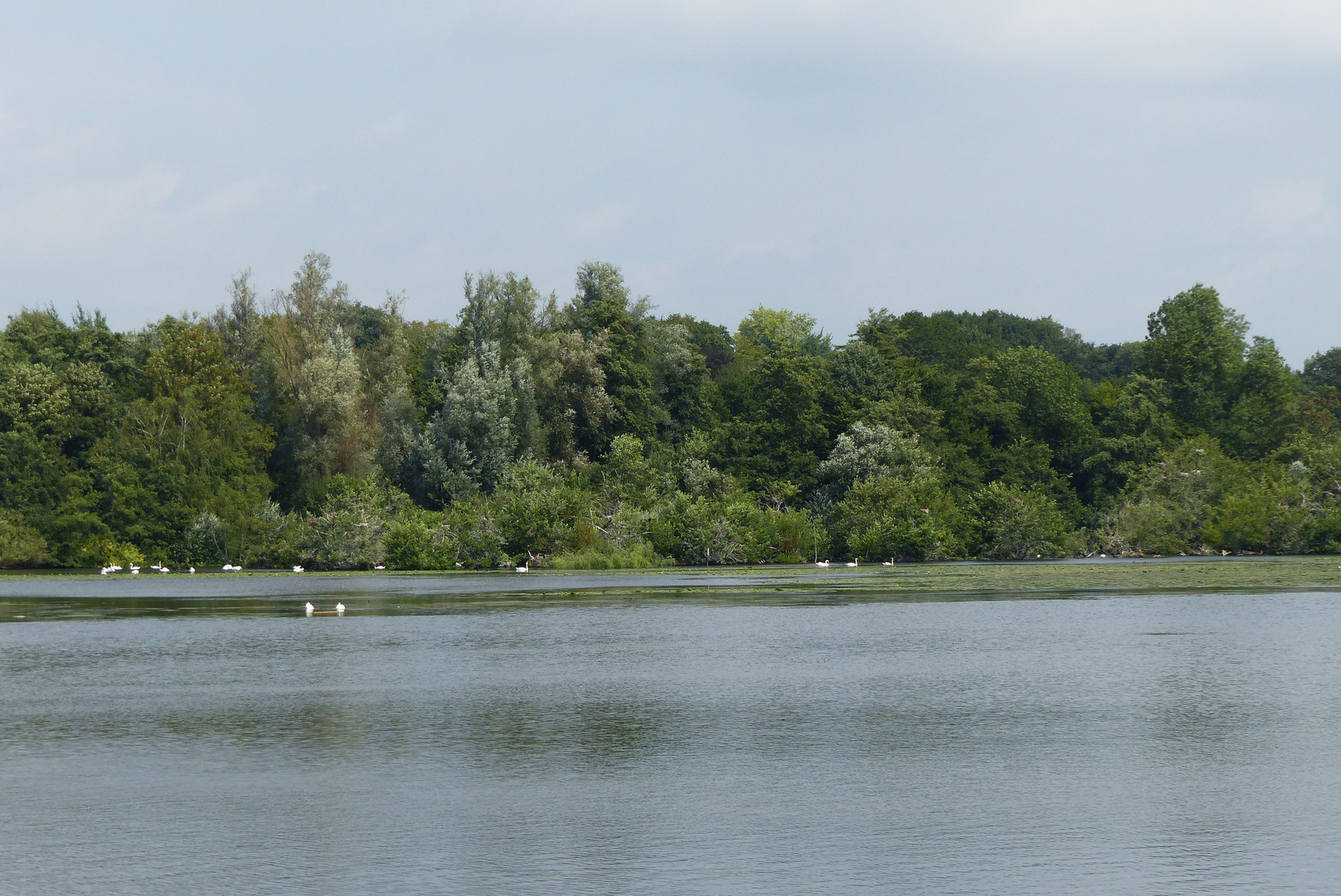 Baldeneysee 1 - August 2018