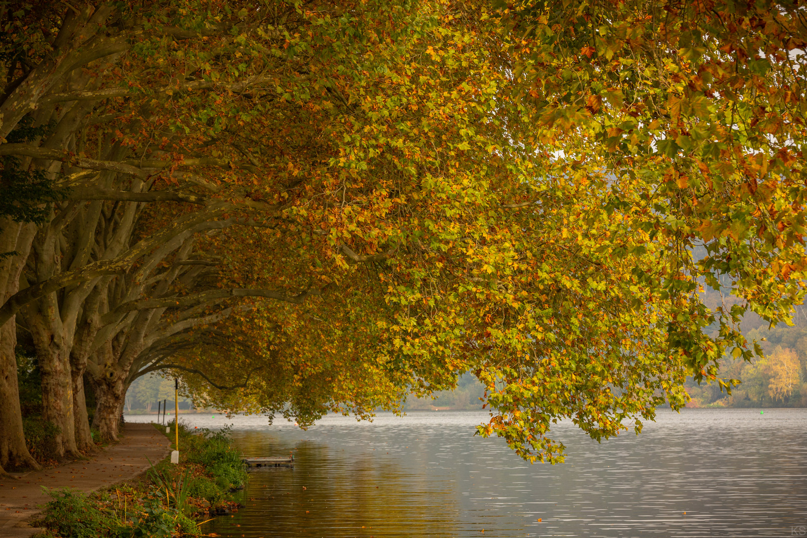 Baldeneysee