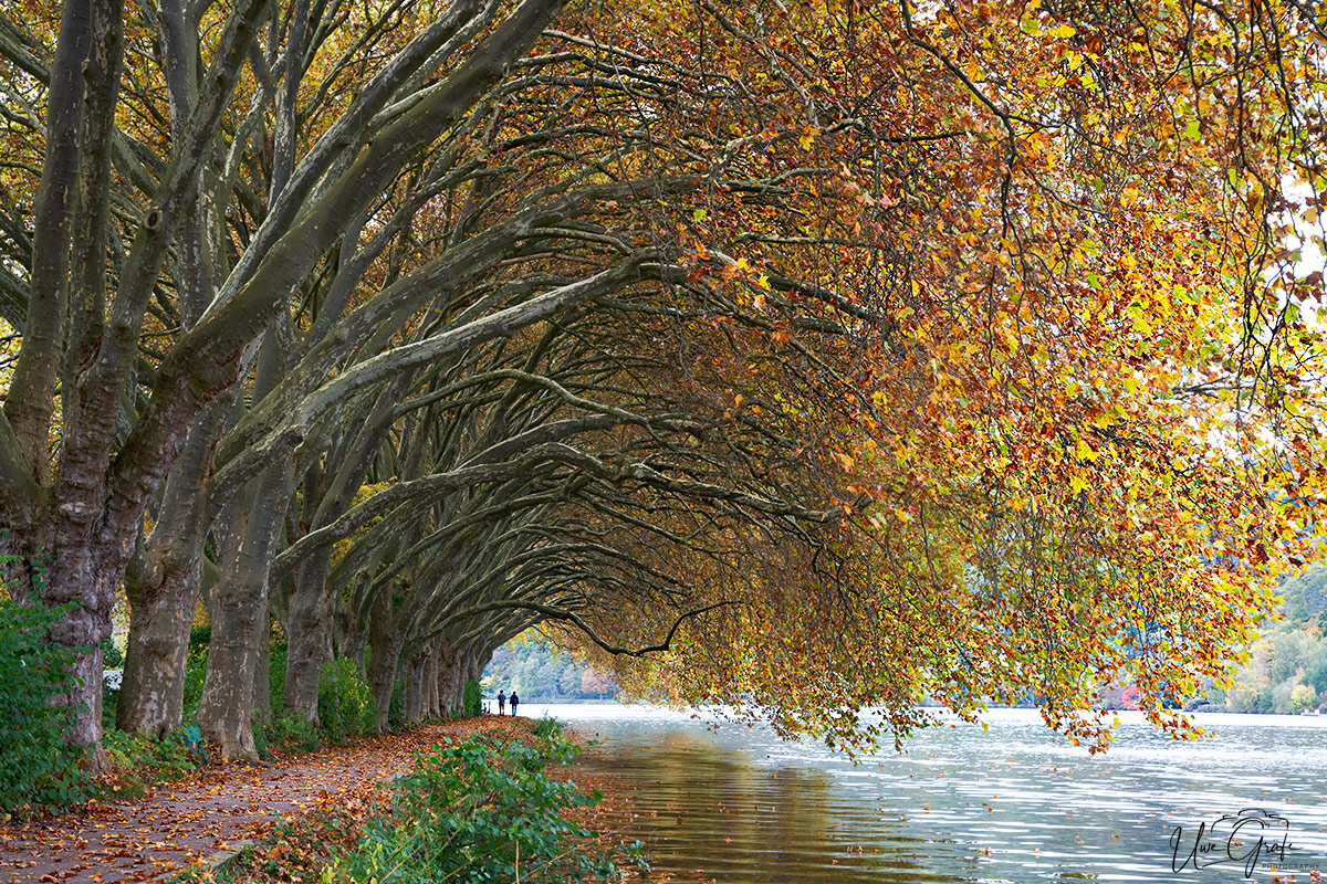 Baldeneysee Essen