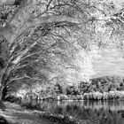 Baldeneysee Essen im Herbst