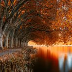 Baldeneysee im Herbst