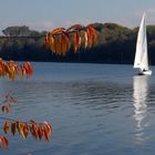 BaldeneySee im Herbst