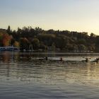 Baldeneysee - Kanuten beim Training