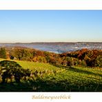 Baldeneyseeblick