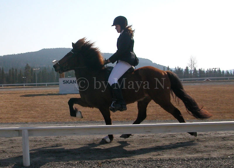 Baldi & Jonna, competition on "Wången", 2006