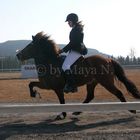 Baldi & Jonna, competition on "Wången", 2006