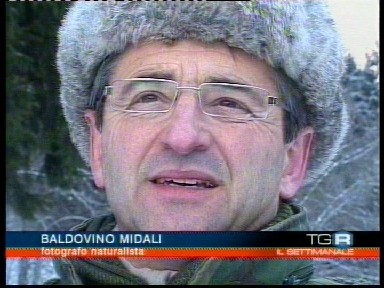 Baldovino Midali