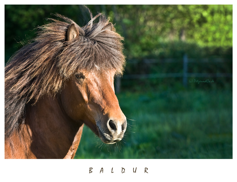 BALDUR