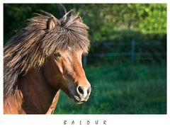 BALDUR