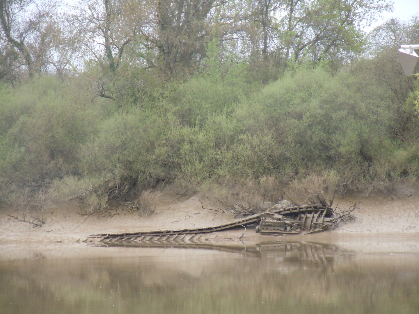 Baleine échouée à Langoiran