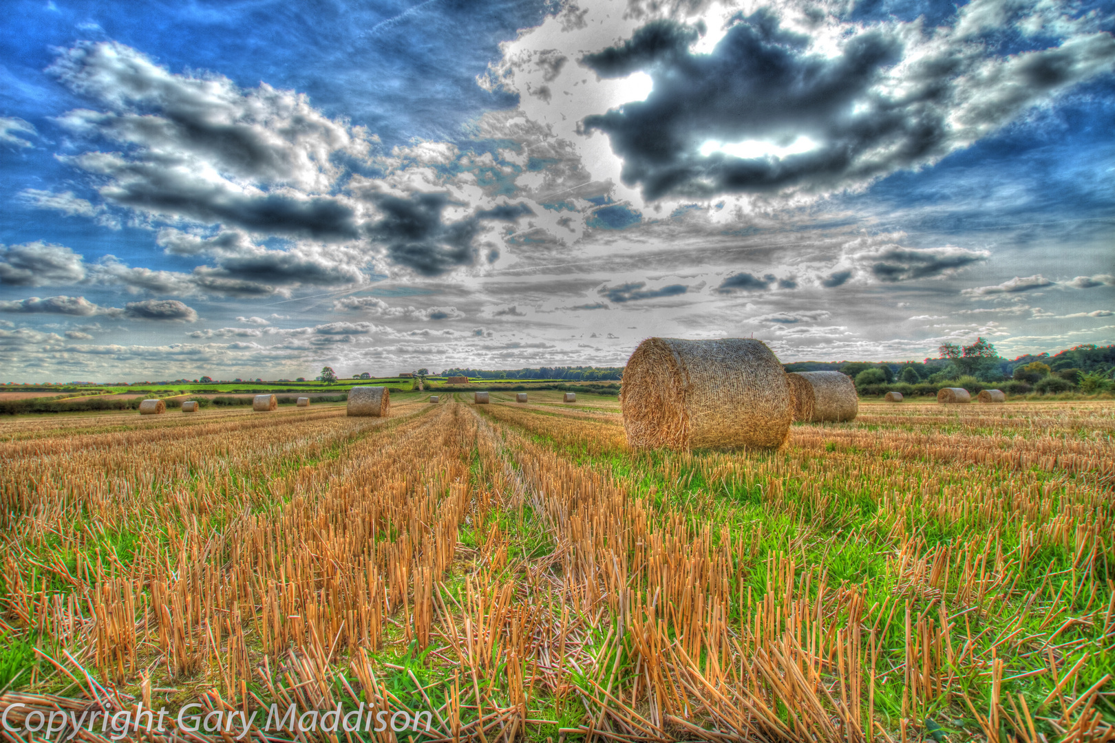 Bales