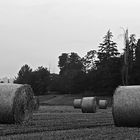 bales of hay