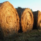 Bales of Hay