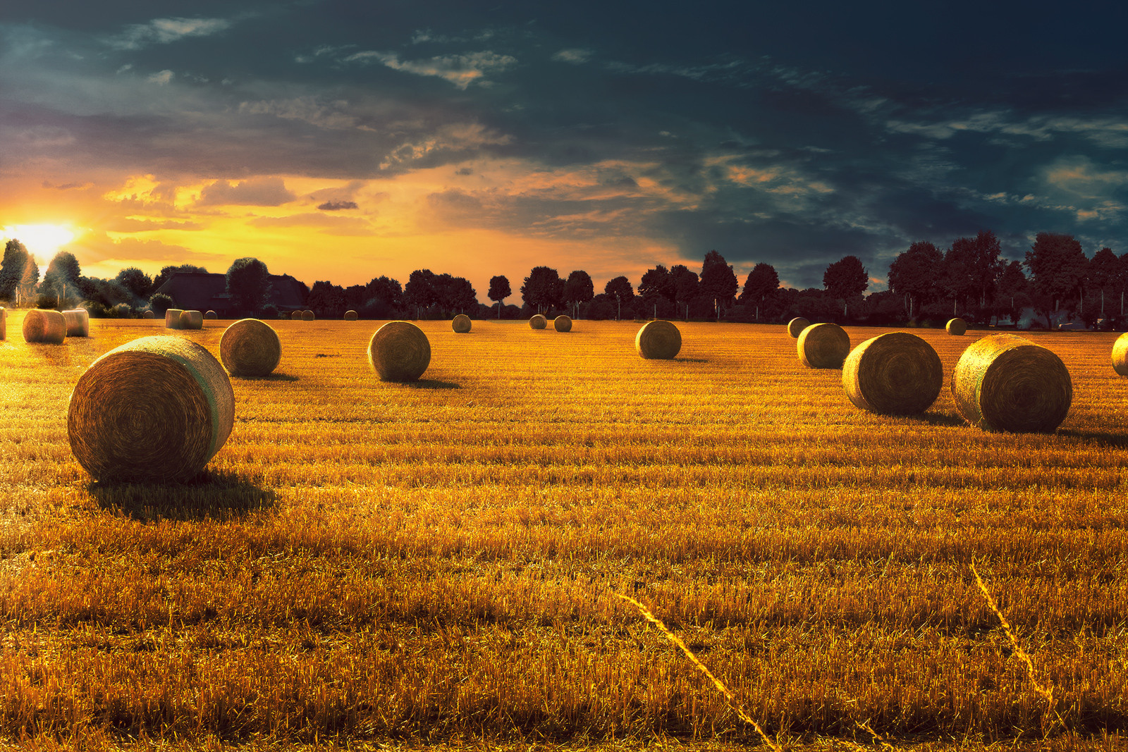 Bales-of-Hay-Straw-Harvest