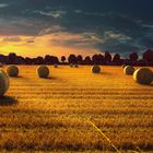 Bales-of-Hay-Straw-Harvest