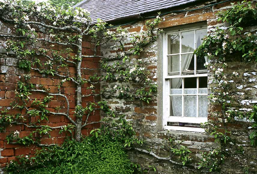 Balfour Castle Garden, Shapinsay