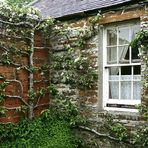 Balfour Castle Garden, Shapinsay