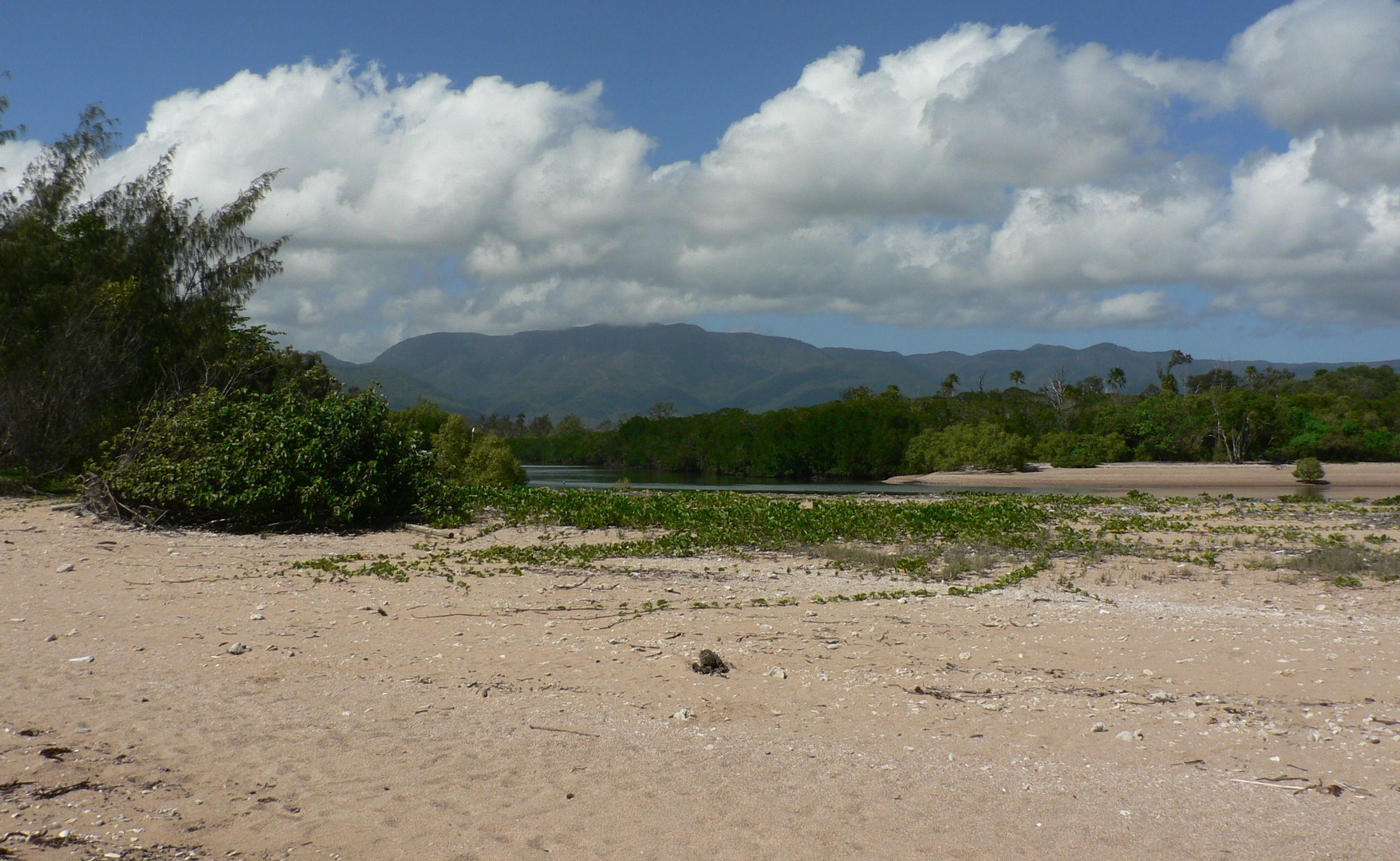 * Balgal Beach / Rollingstone Qld.*