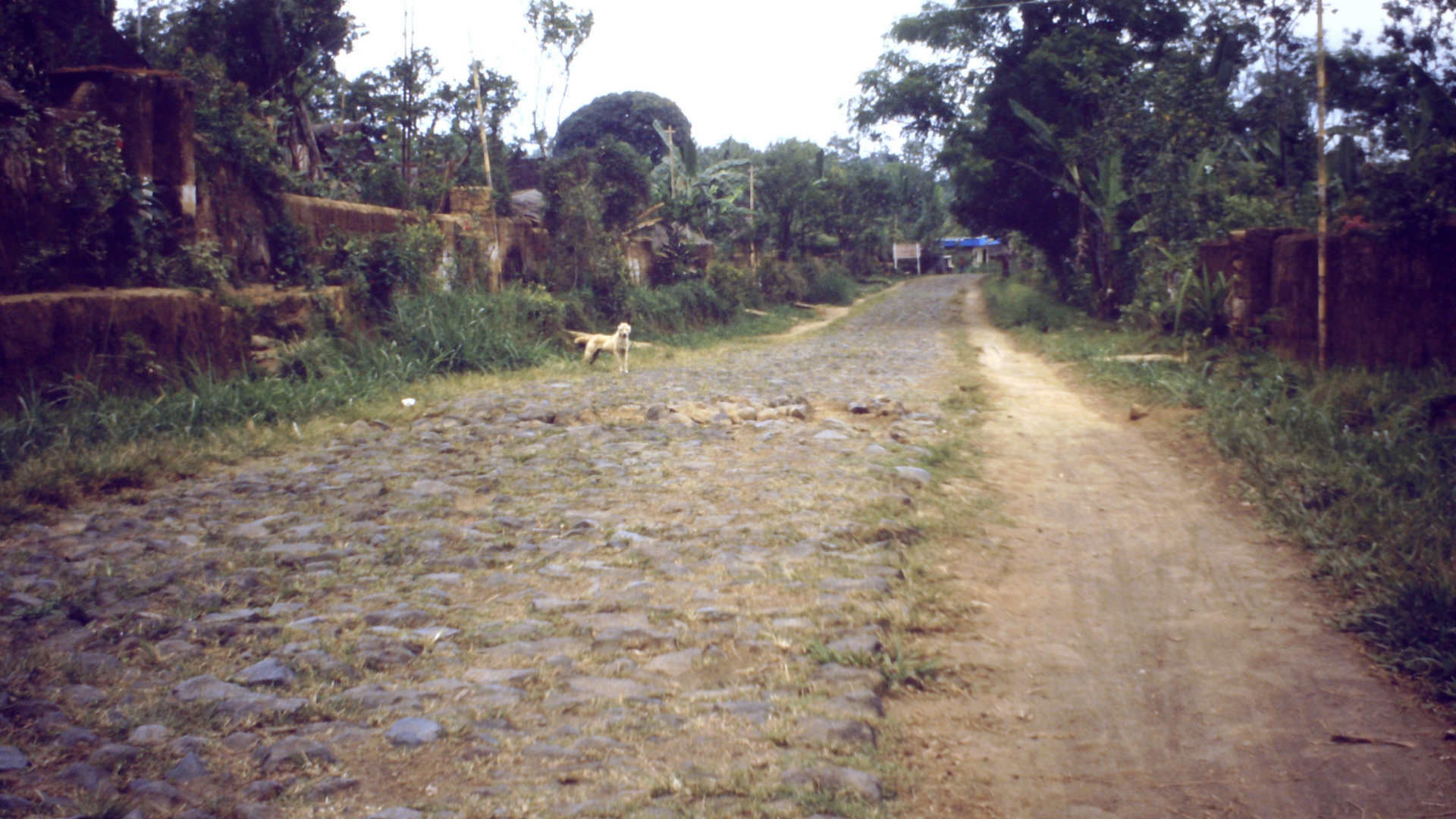 Bali (1983), Dorfstraße
