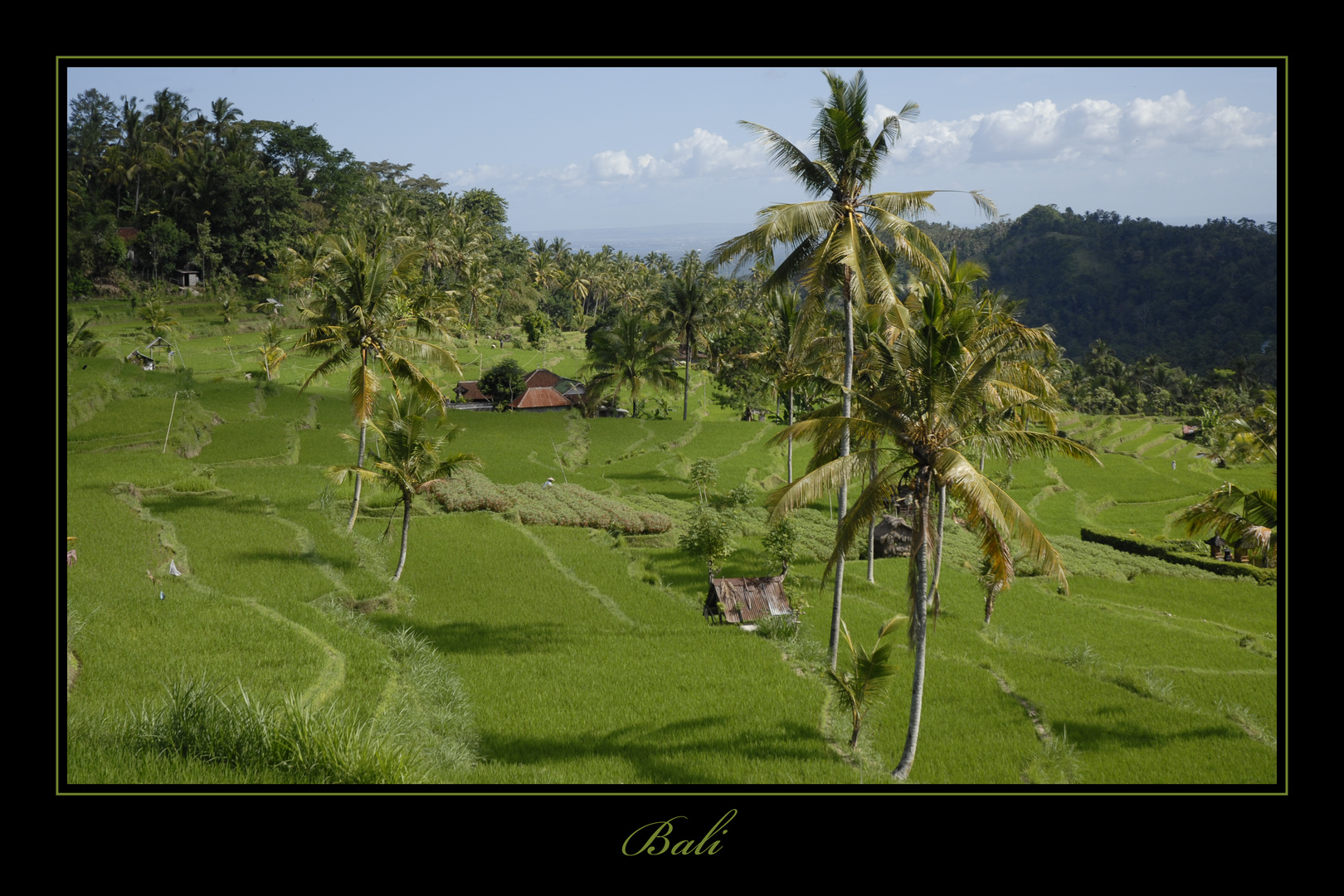 Bali 2009 *10