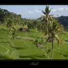 Bali 2009 *10