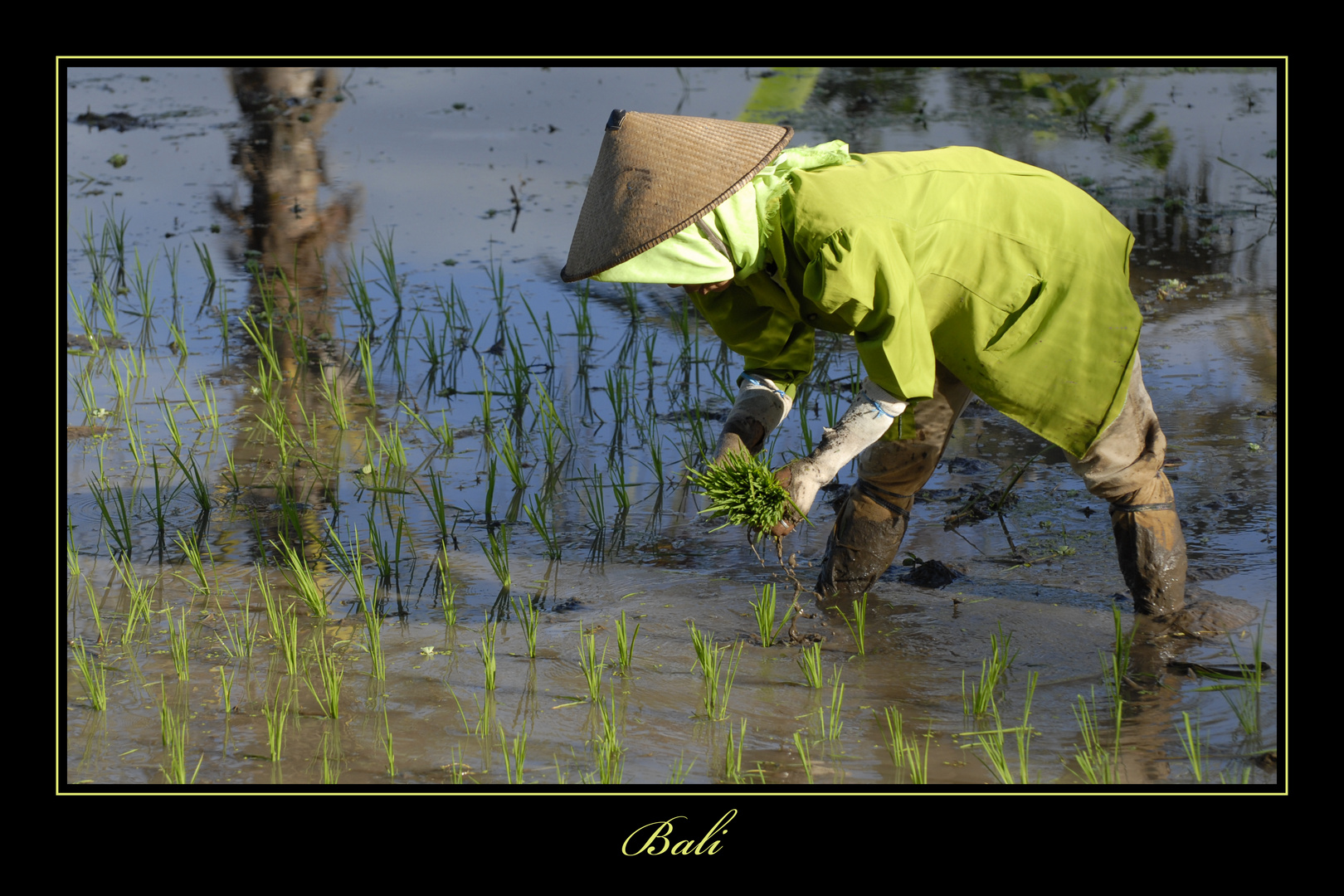 Bali 2009 *14