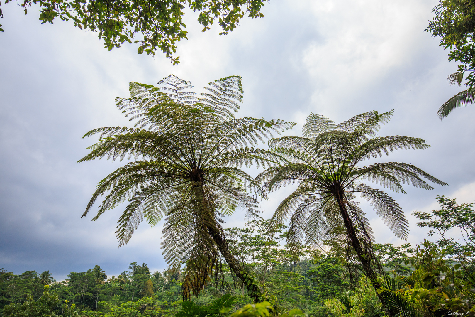 Bali 2017_095