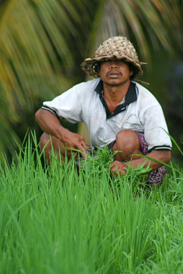 Bali