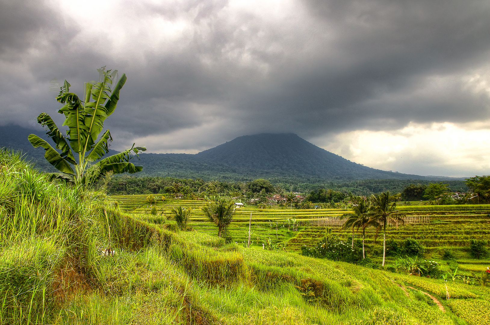 Bali