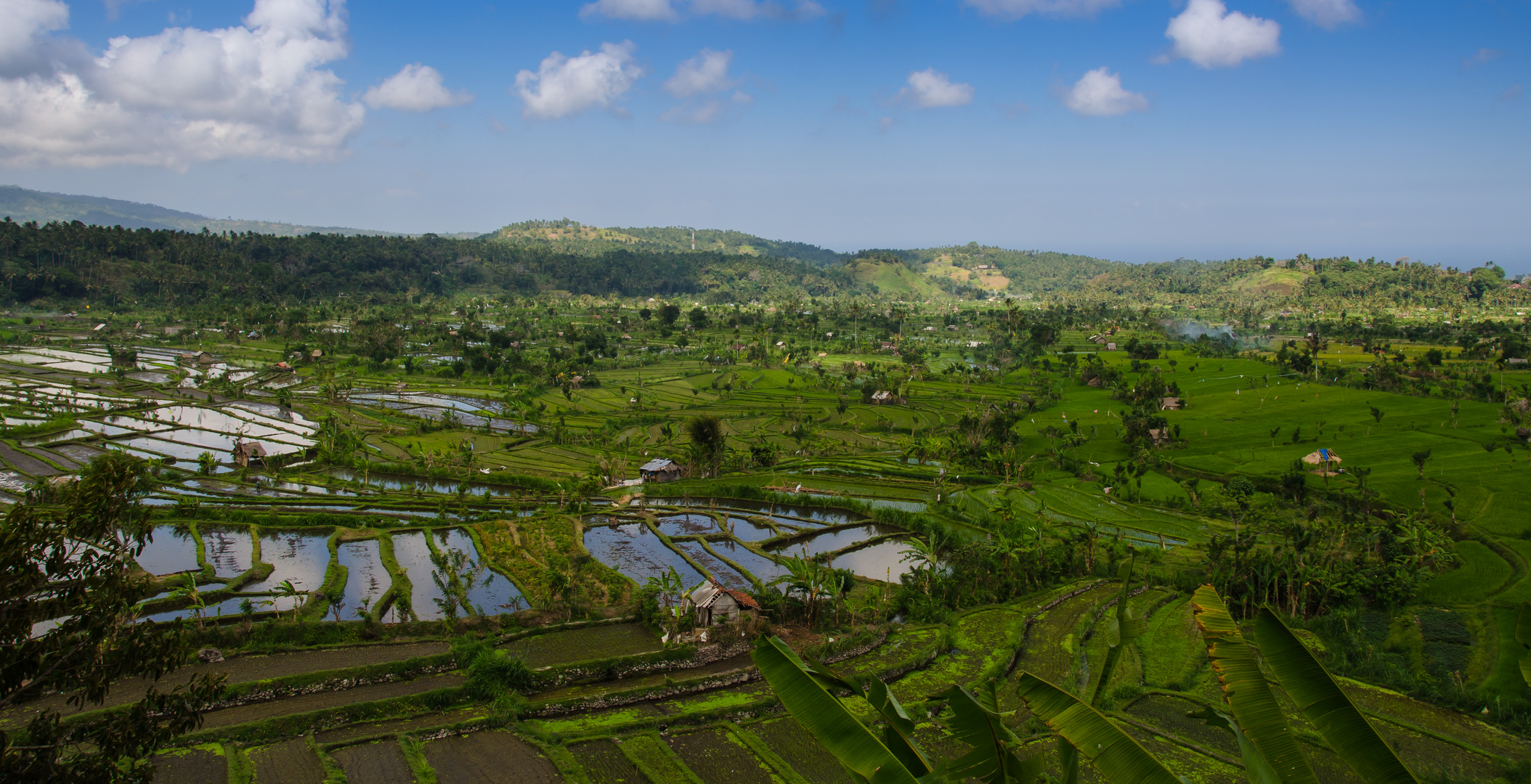 Bali