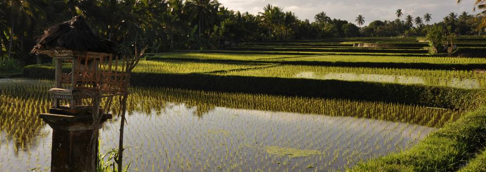 Bali...