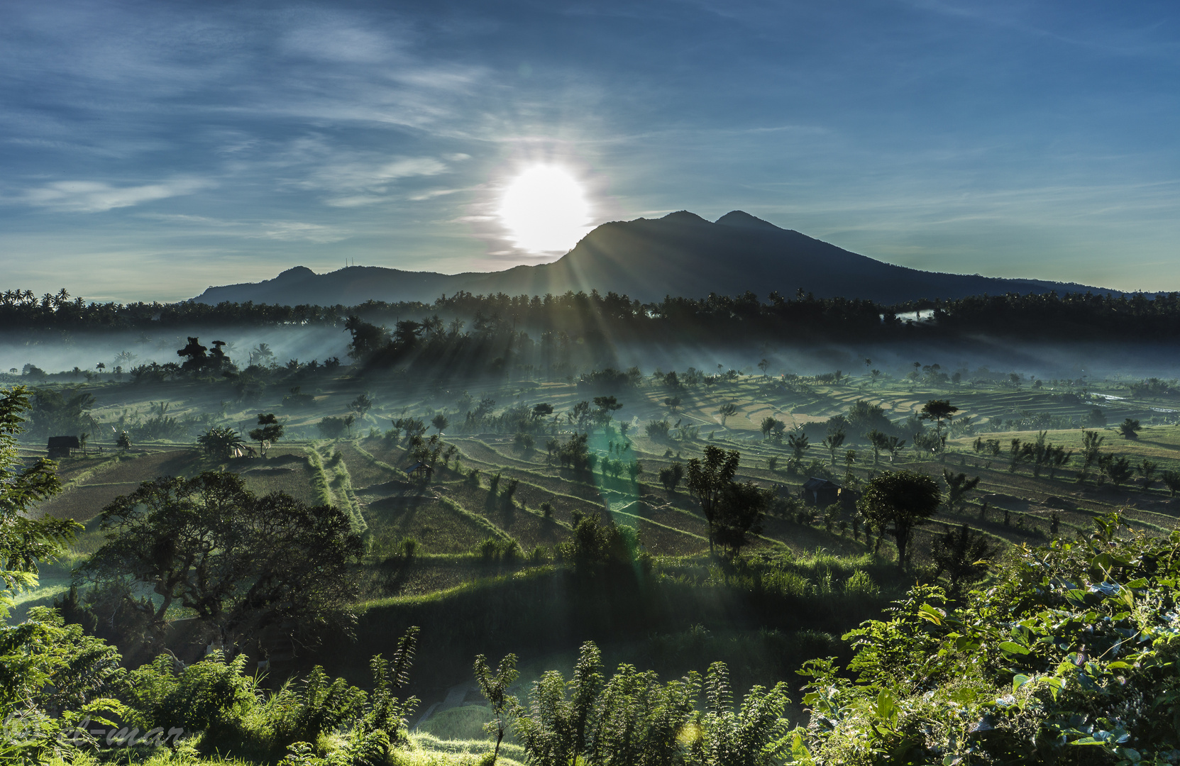 Bali am frühen Morgen in den Reisfeldern