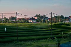 bali at dusk