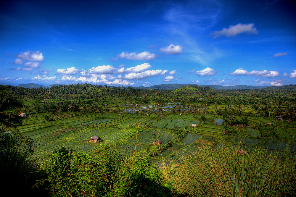 Bali - Balkonblick