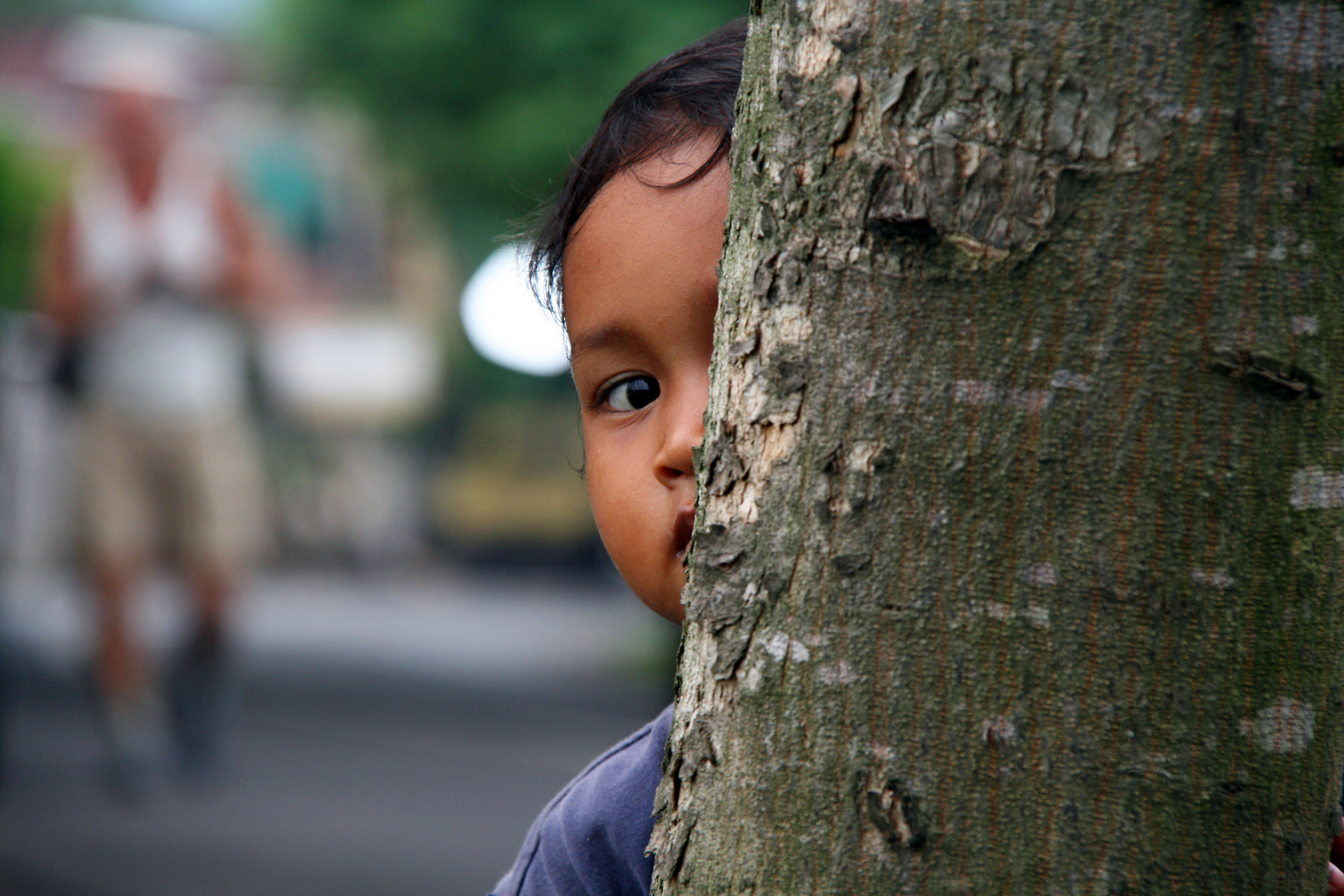 Bali curiosa