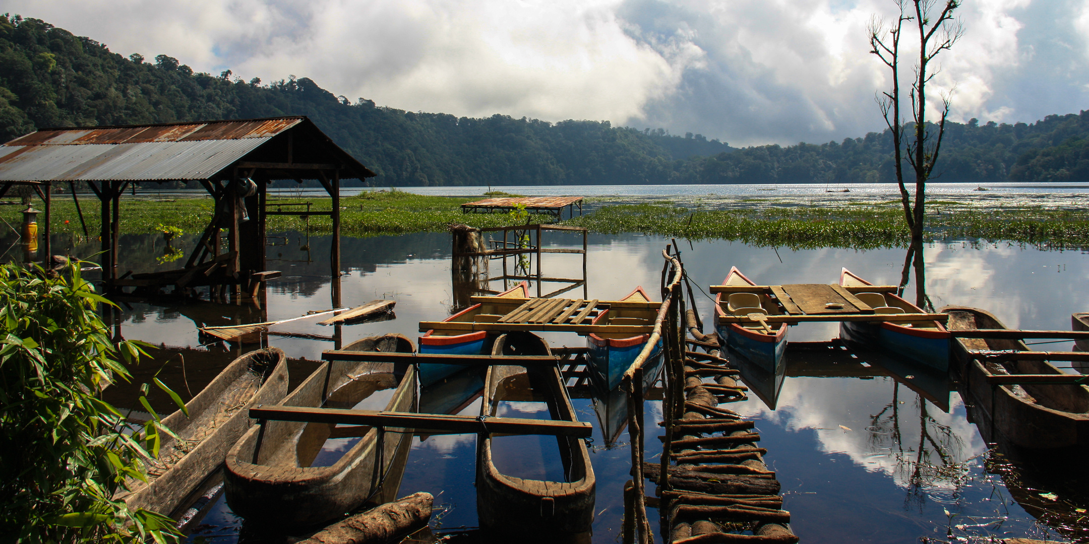 Bali - Danau Buyan