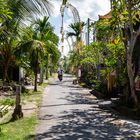 Bali - Dorfstrasse in Batuan