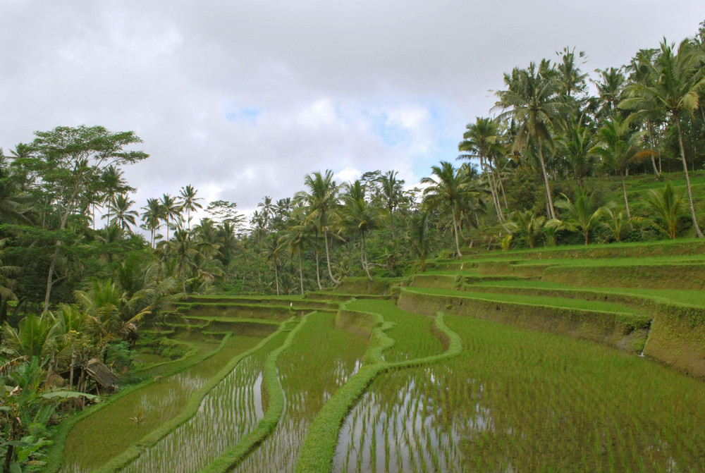 Bali