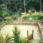 Bali Hot Springs