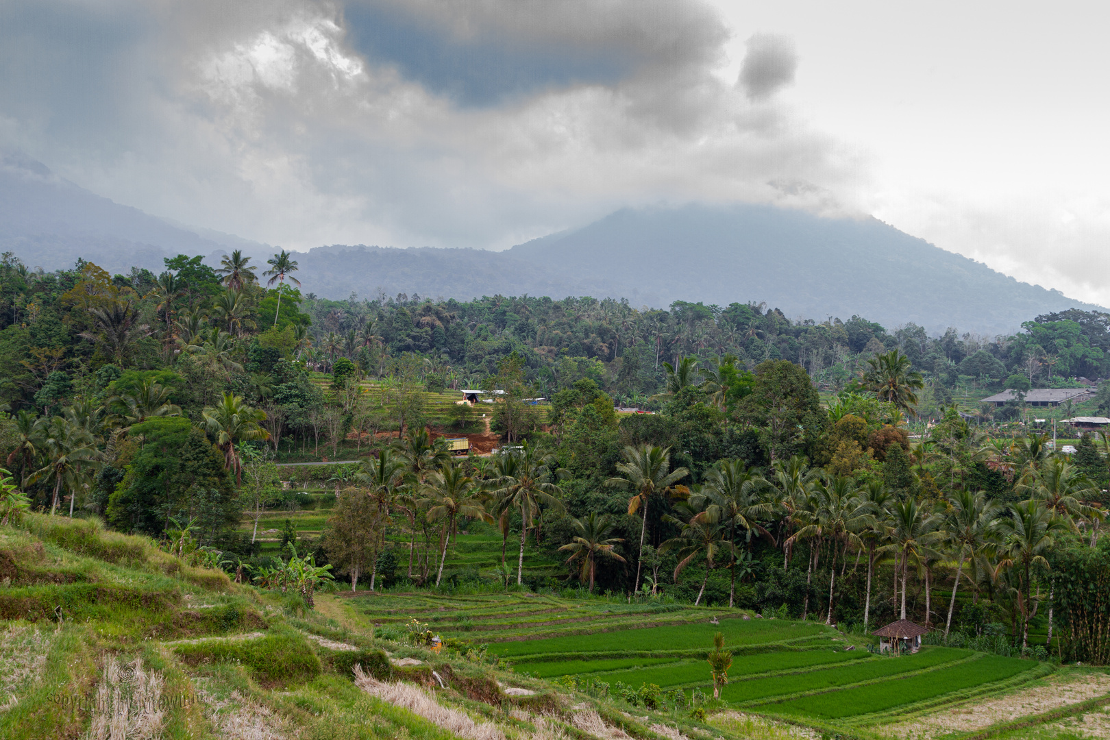Bali - Jatiluwih