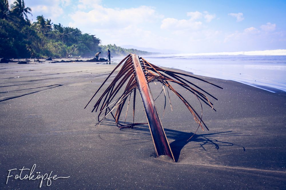 Bali Kelapa Beach