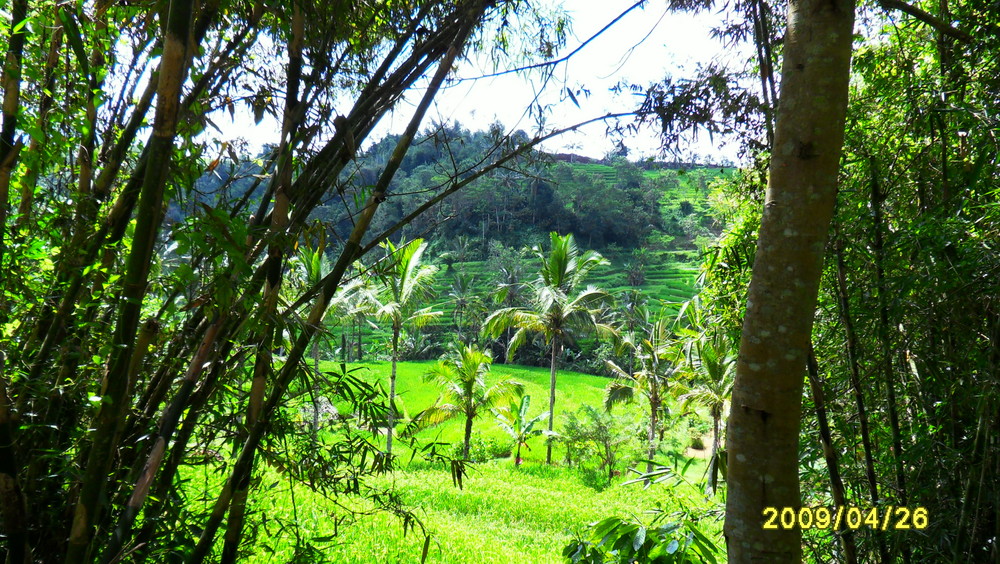 Bali Landschaft