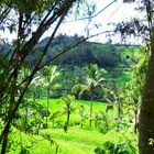 Bali Landschaft