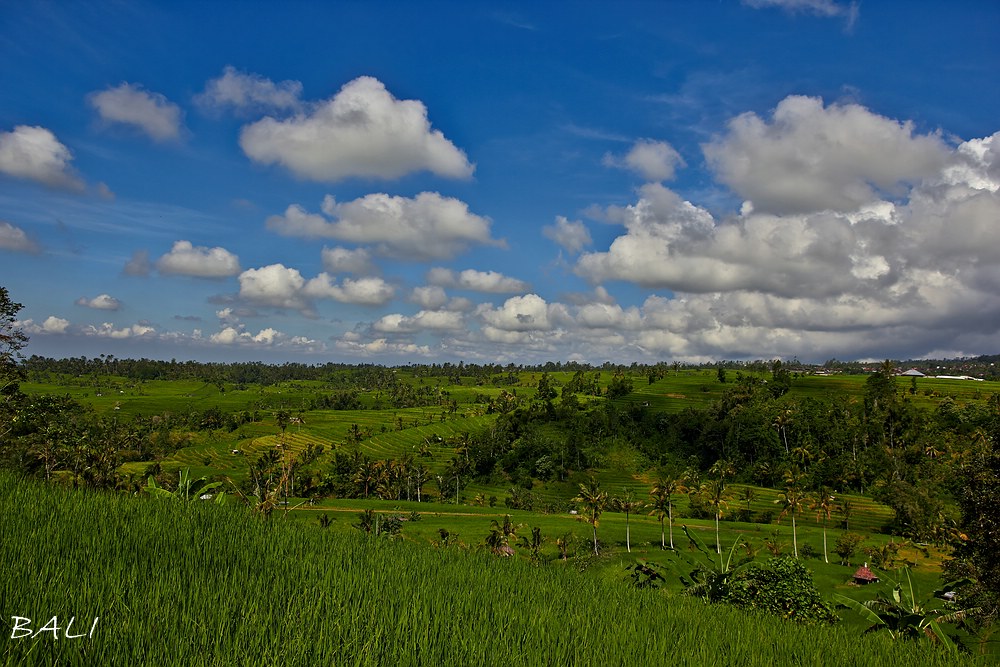 Bali - Landschaft