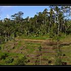 Bali - nördlich von Ubud