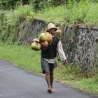 Bali people