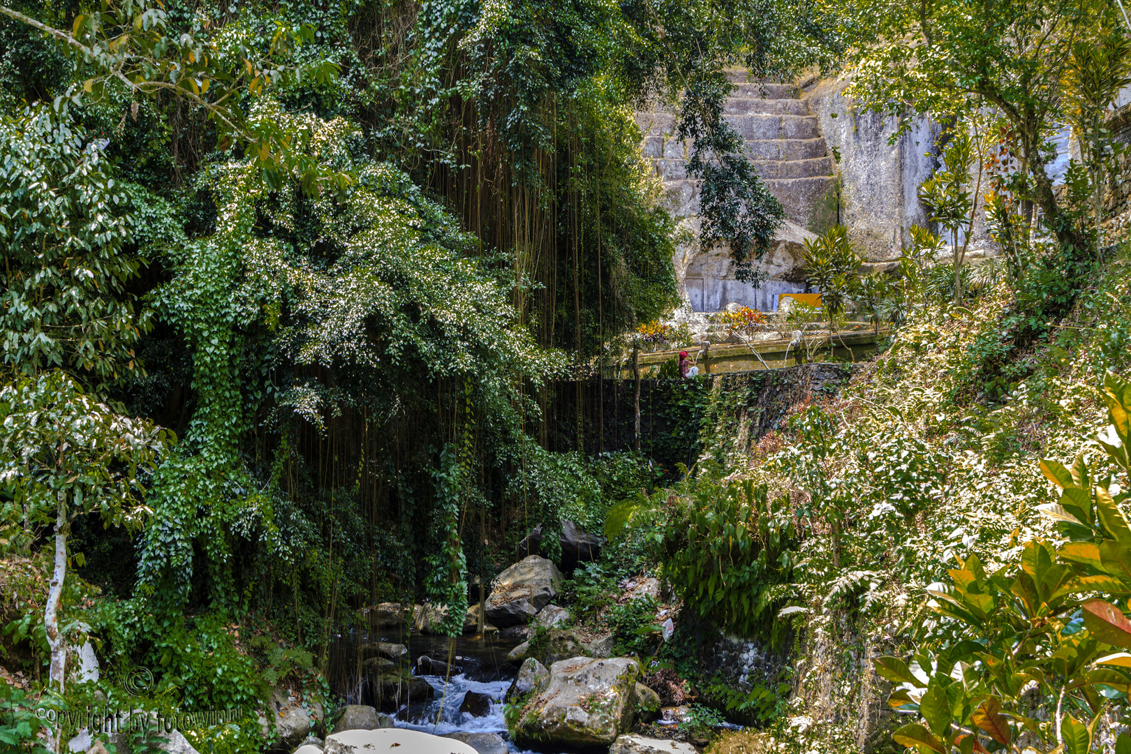 Bali - Regenwald