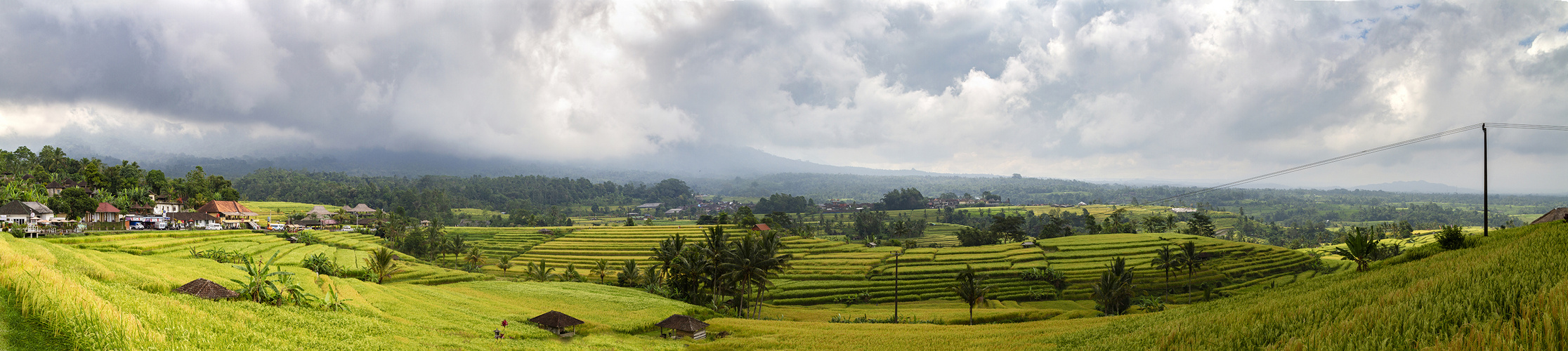  Bali - Reisfelder in Jatiluwih