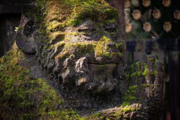 Bali - Skultur von einem Affen