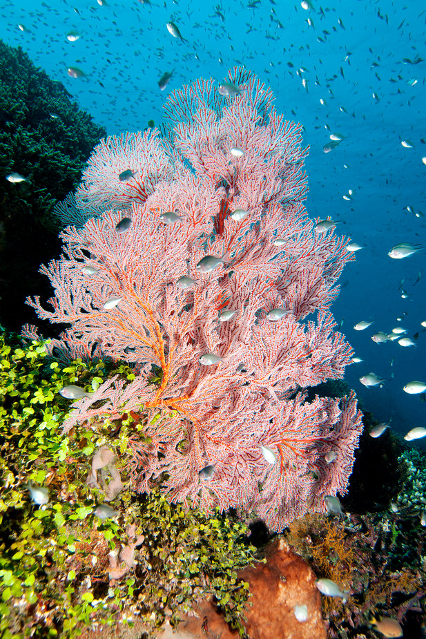 Bali Tulamben - Weitwinkel Landschaft